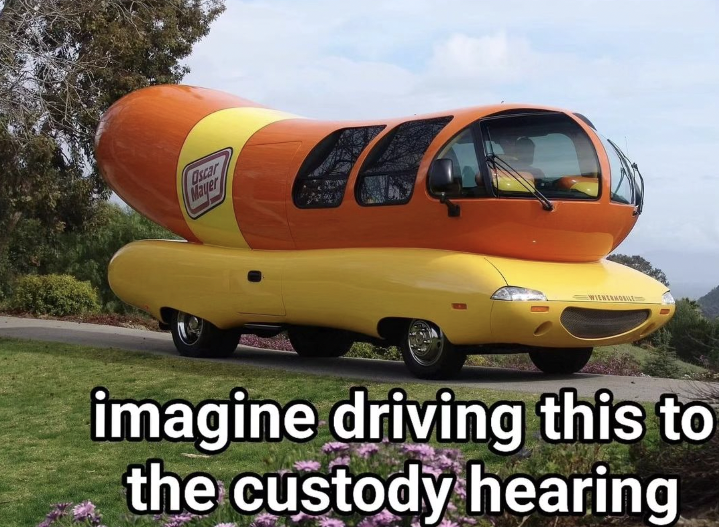 car man meme - Oscar Mayer imagine driving this to the custody hearing